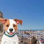 Perros en adopción en Cádiz