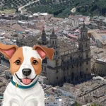 Perros en adopción en Jaén