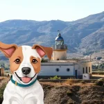 Perros en adopción en Murcia