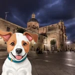 Perros en adopción en Salamanca